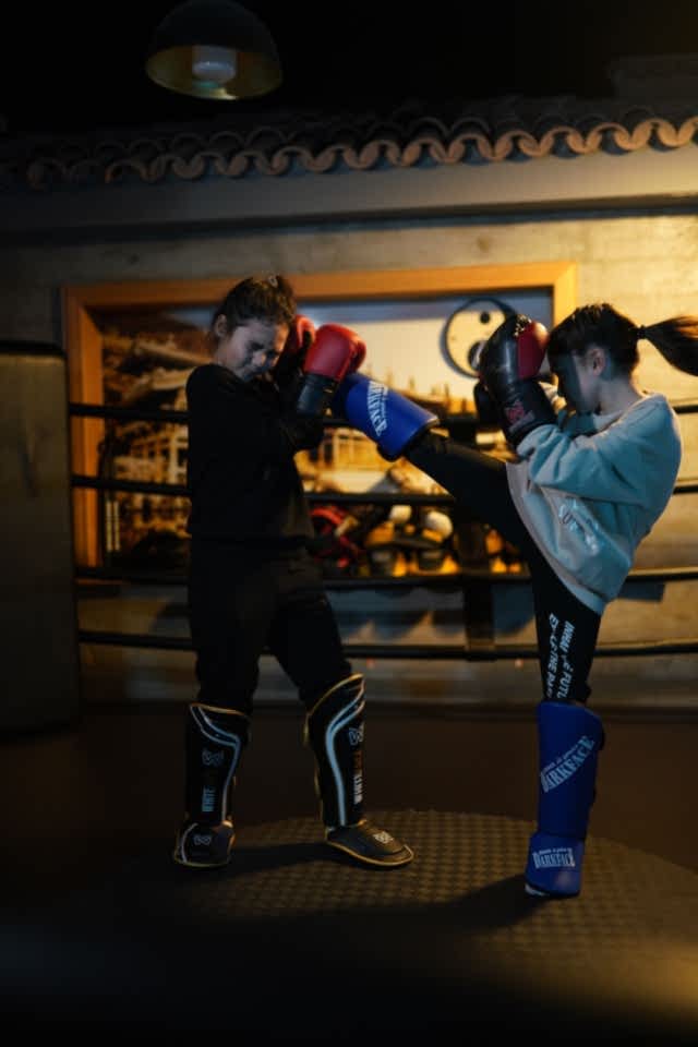 Gaziemirin Spor Salonlari, Boks Kurslari ve Kickboks Kurslari