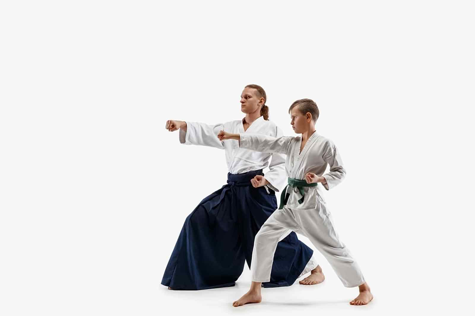 karate kurslari